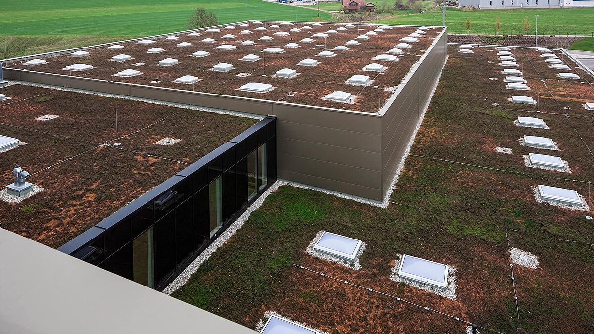 Begrüntes Dach bei Zaltech in Moosdorf, Österreich, ausgestattet mit LAMILUX Flachdachfenstern F100 und runden Flachdachfenstern FE.