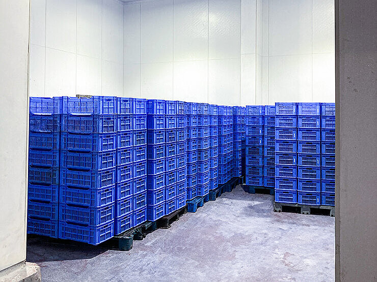Lagerraum einer Indoor-Farm