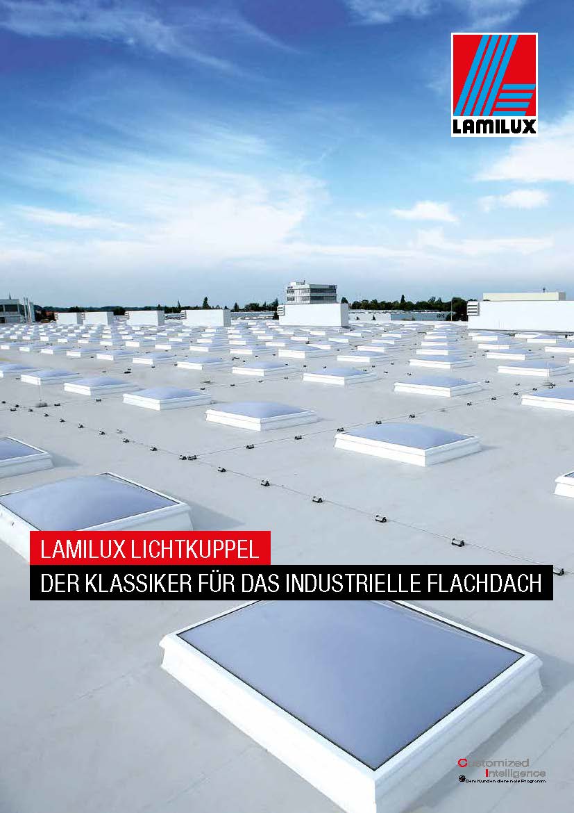 Lichtkuppel F100