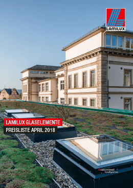Flachdach Fenster F100